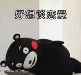 月七表情包,网络潮流中的表情文化新风尚
