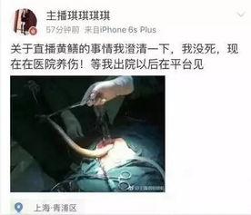 黄鳝女主播真的吗,真相揭秘还是网络谣言？